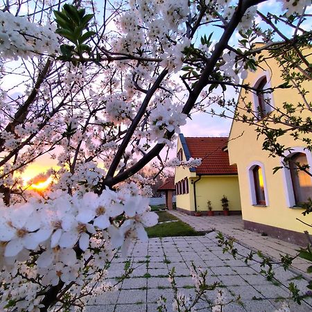 Idylicky Rodinny Penzion Arkadia Pri Dunajskej Cyklotrase Kyselica Exterior photo