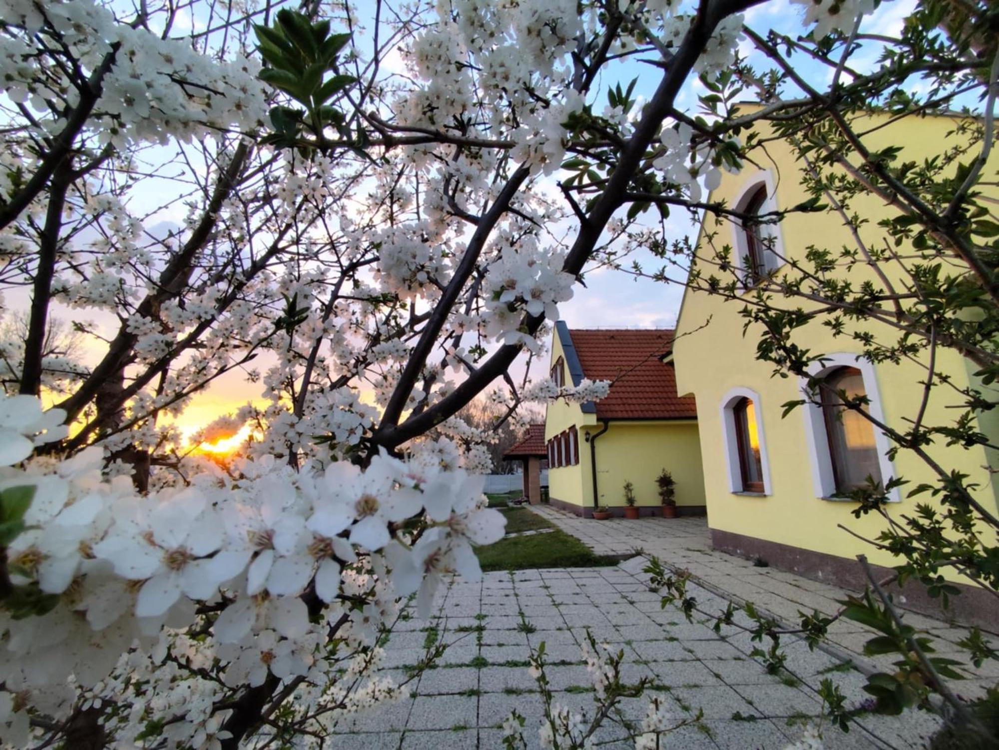 Idylicky Rodinny Penzion Arkadia Pri Dunajskej Cyklotrase Kyselica Exterior photo