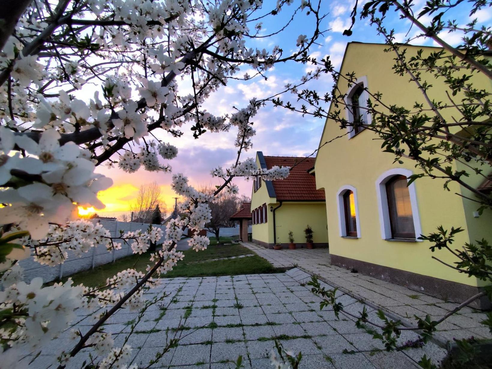 Idylicky Rodinny Penzion Arkadia Pri Dunajskej Cyklotrase Kyselica Exterior photo