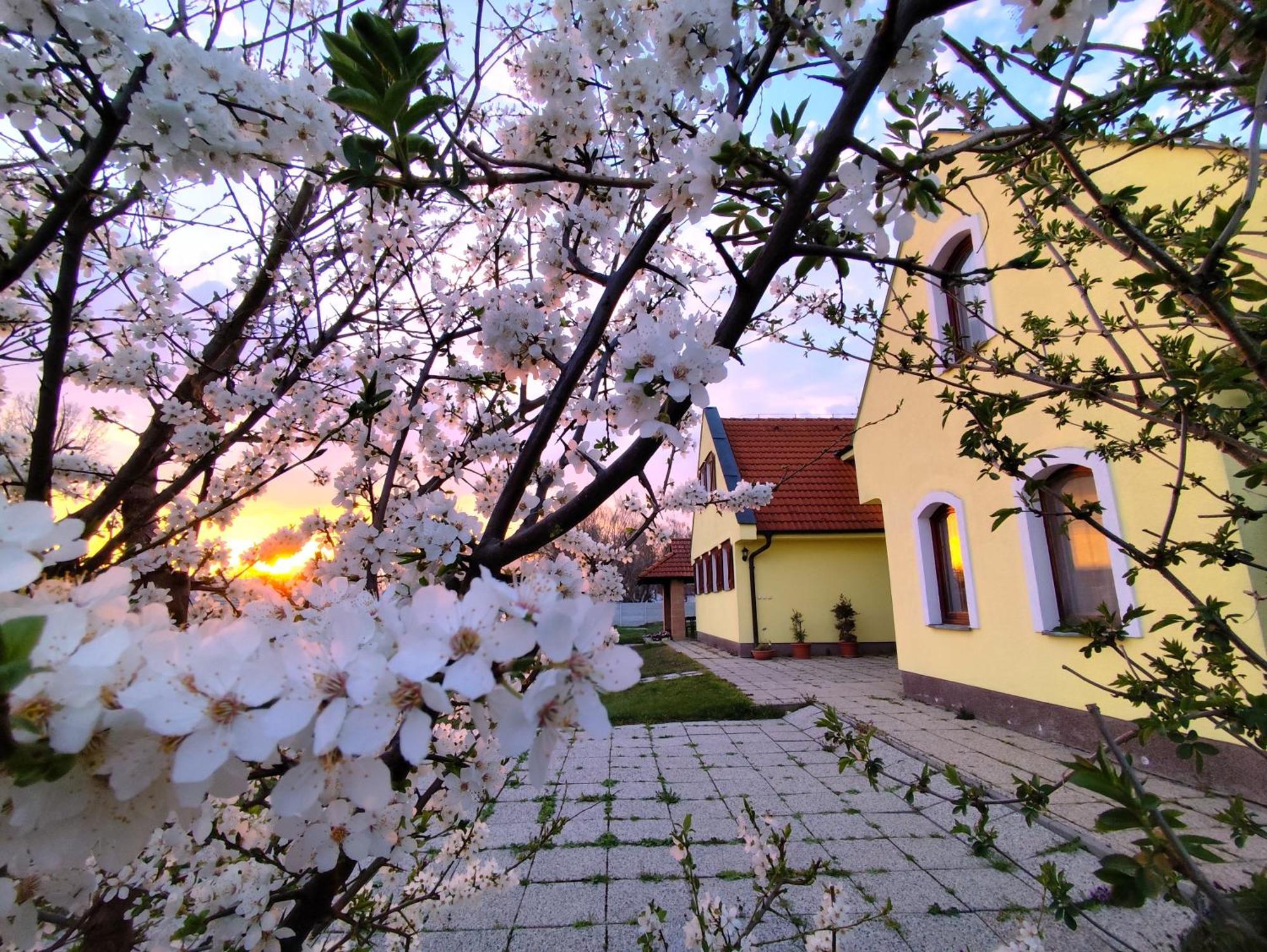 Idylicky Rodinny Penzion Arkadia Pri Dunajskej Cyklotrase Kyselica Exterior photo
